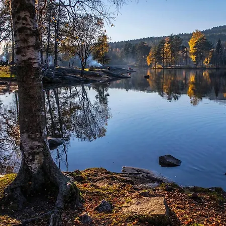 Apartment 4 Bedroom Flat In The Heart Of