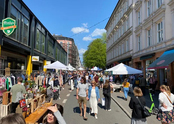 4 Bedroom Flat In The Heart Of Oslo